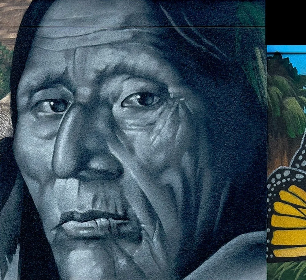 DESERT-MIRAGE-WALL-2-6 2.jpeg