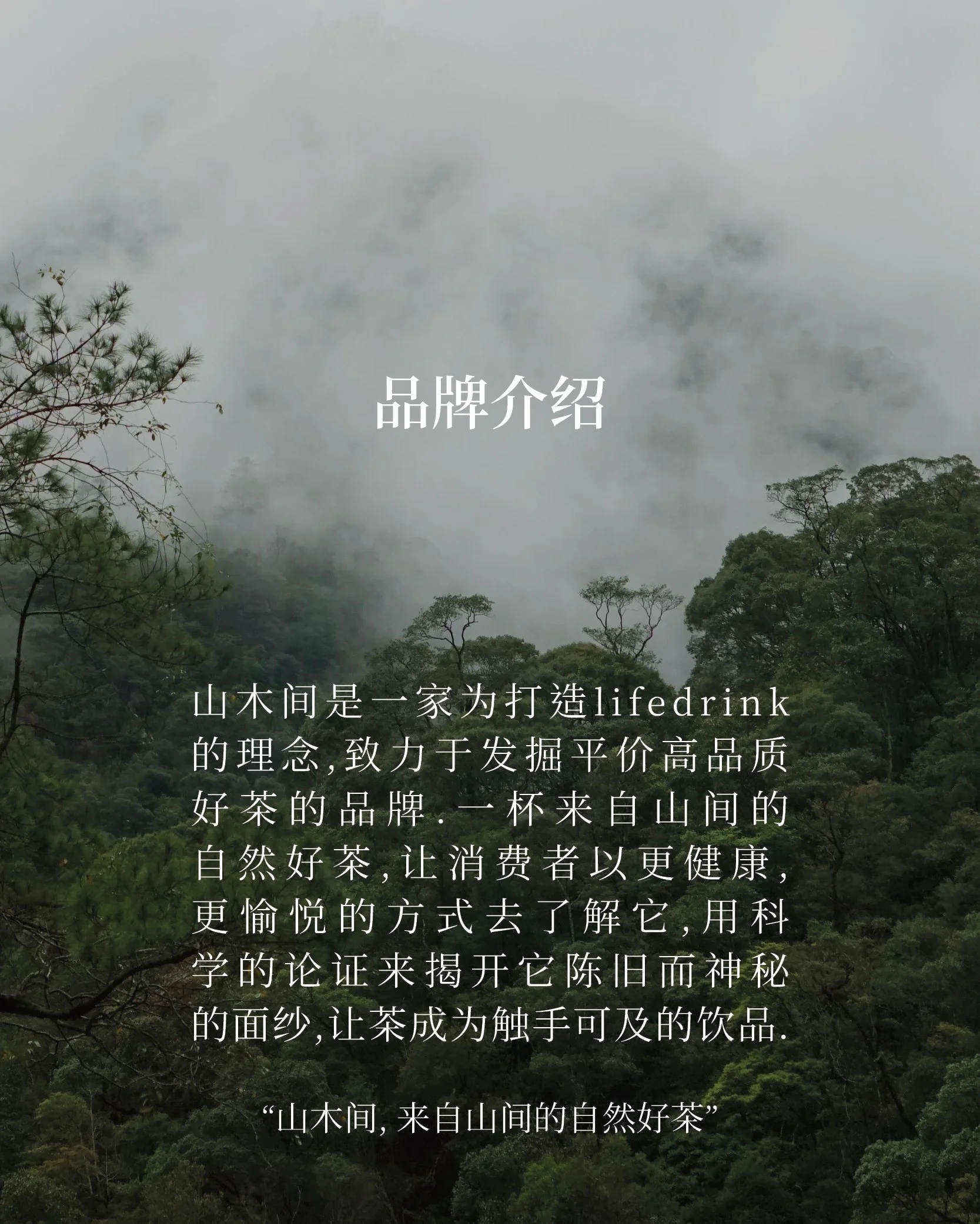 本山蜜韵3.jpg