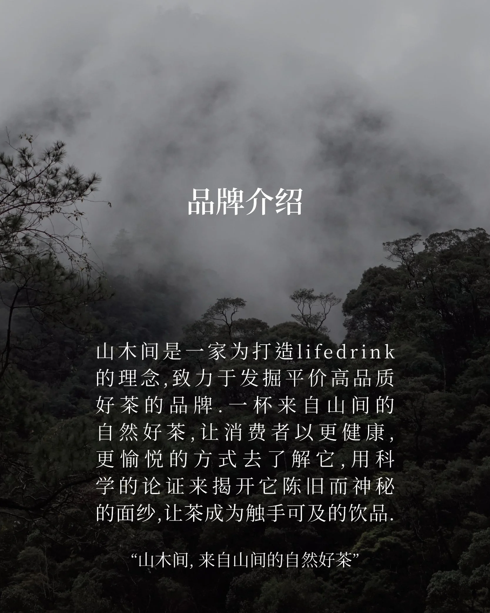 2022白牡丹3.jpg