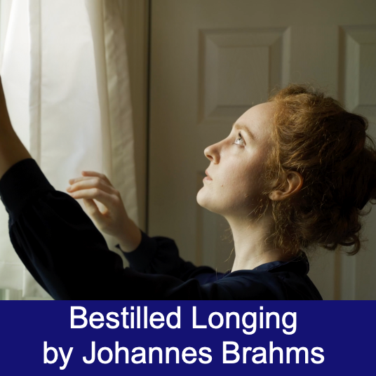 Brahms, Bestilled Longing: Trio Arrangement