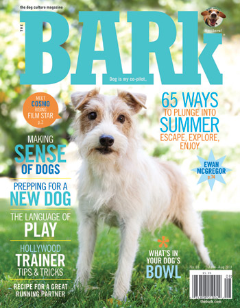 Bark-Cover-Sharon-Montrose.jpg