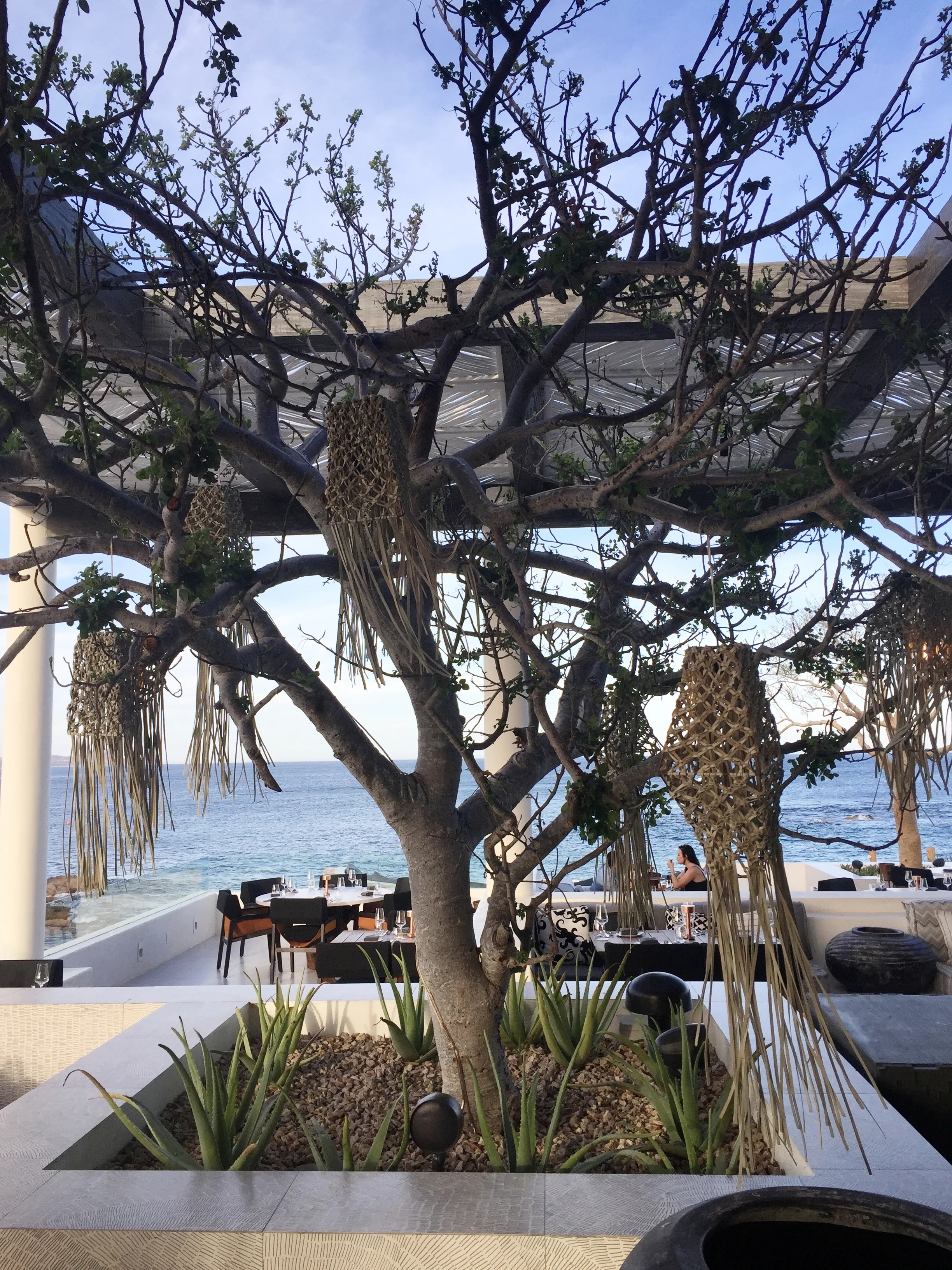 Comal at Chileno Bay Resort, Gorgeous!
