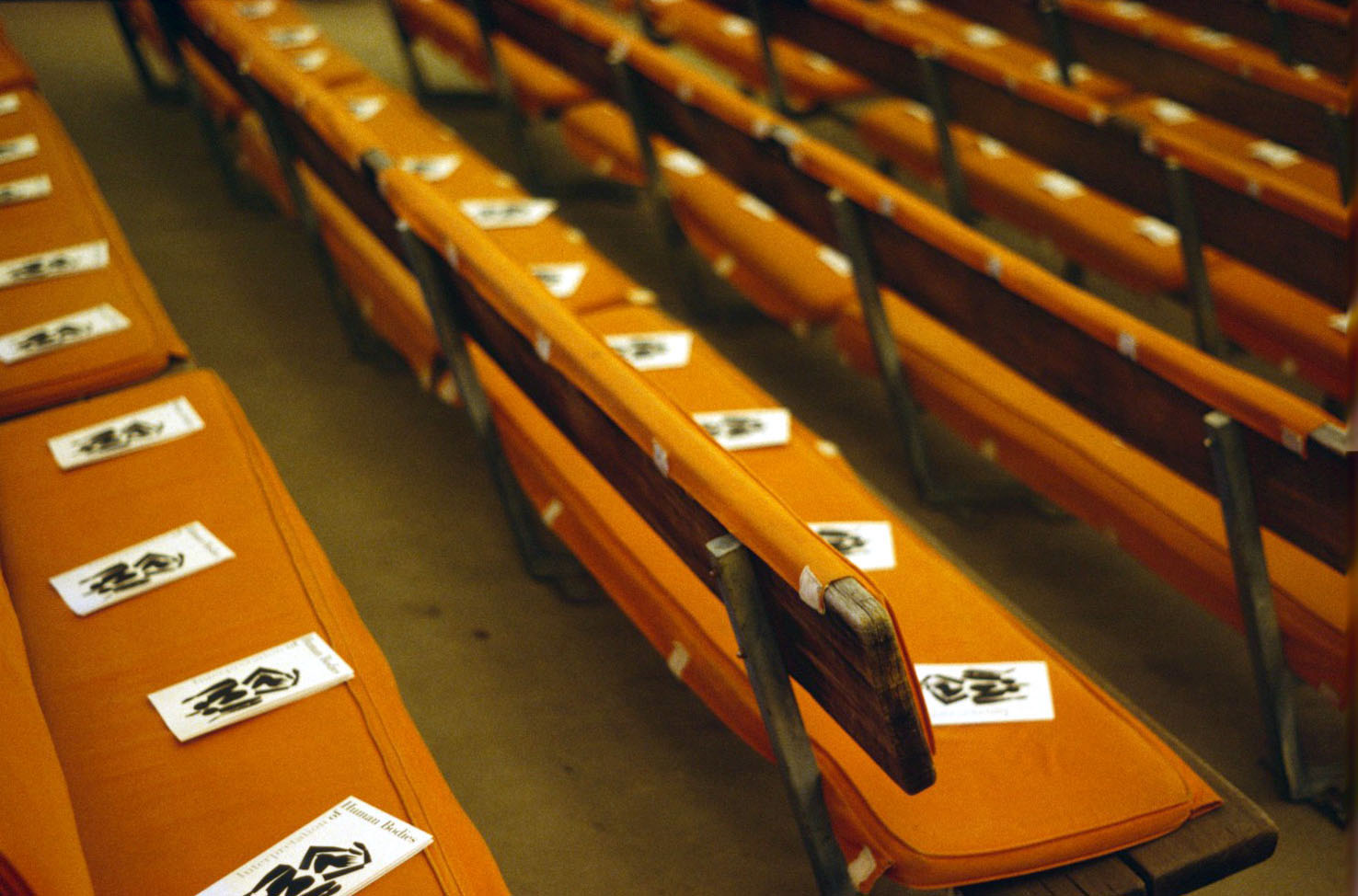 aspen human bodies7.jpg