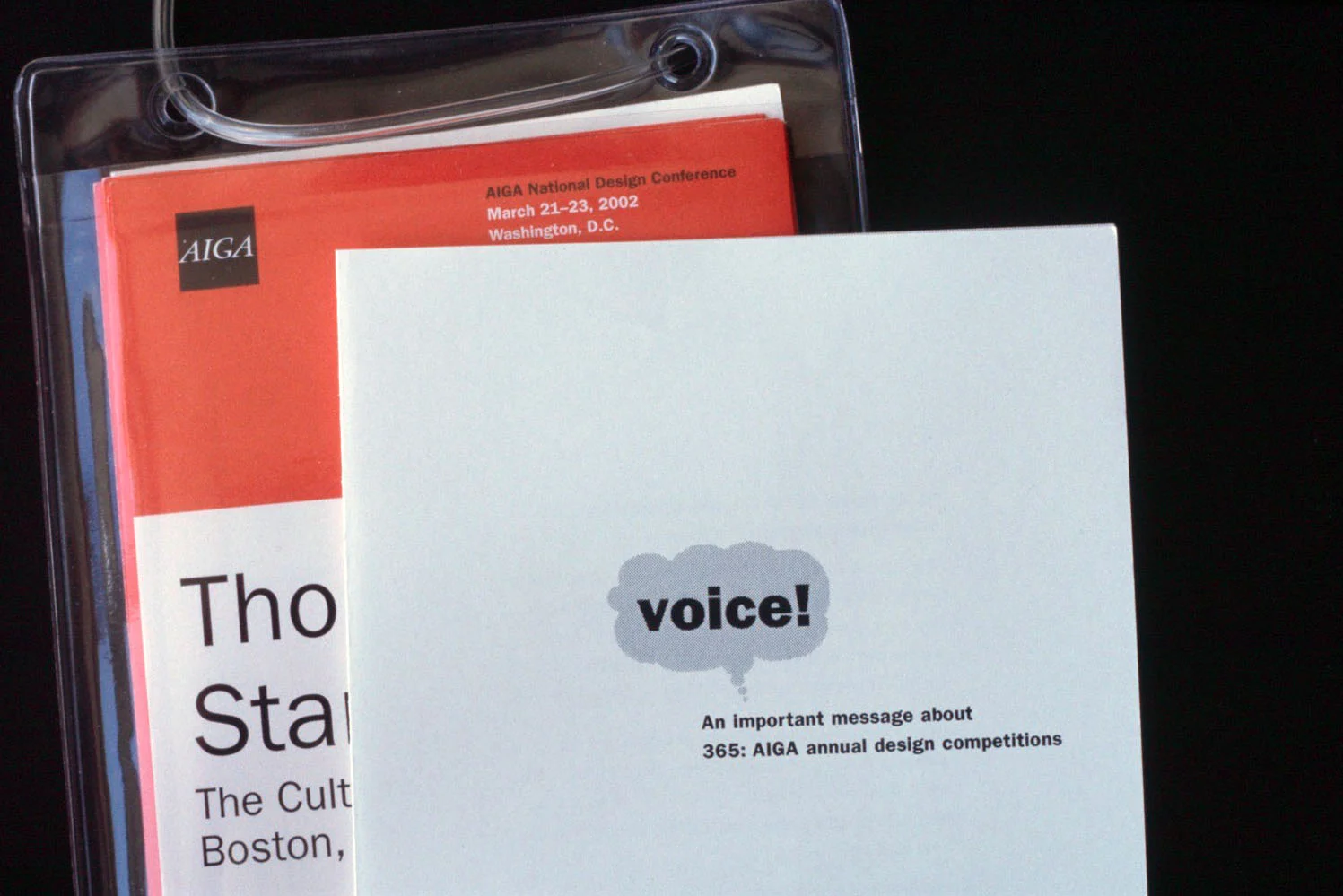 voice5.jpg