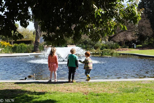 st kilda botanical gardens