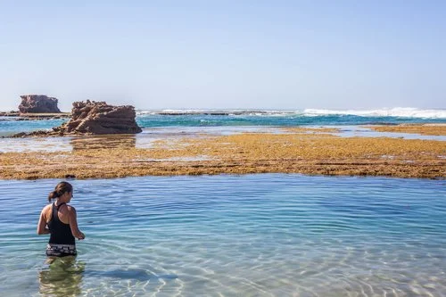 sorrento back beach rock pools