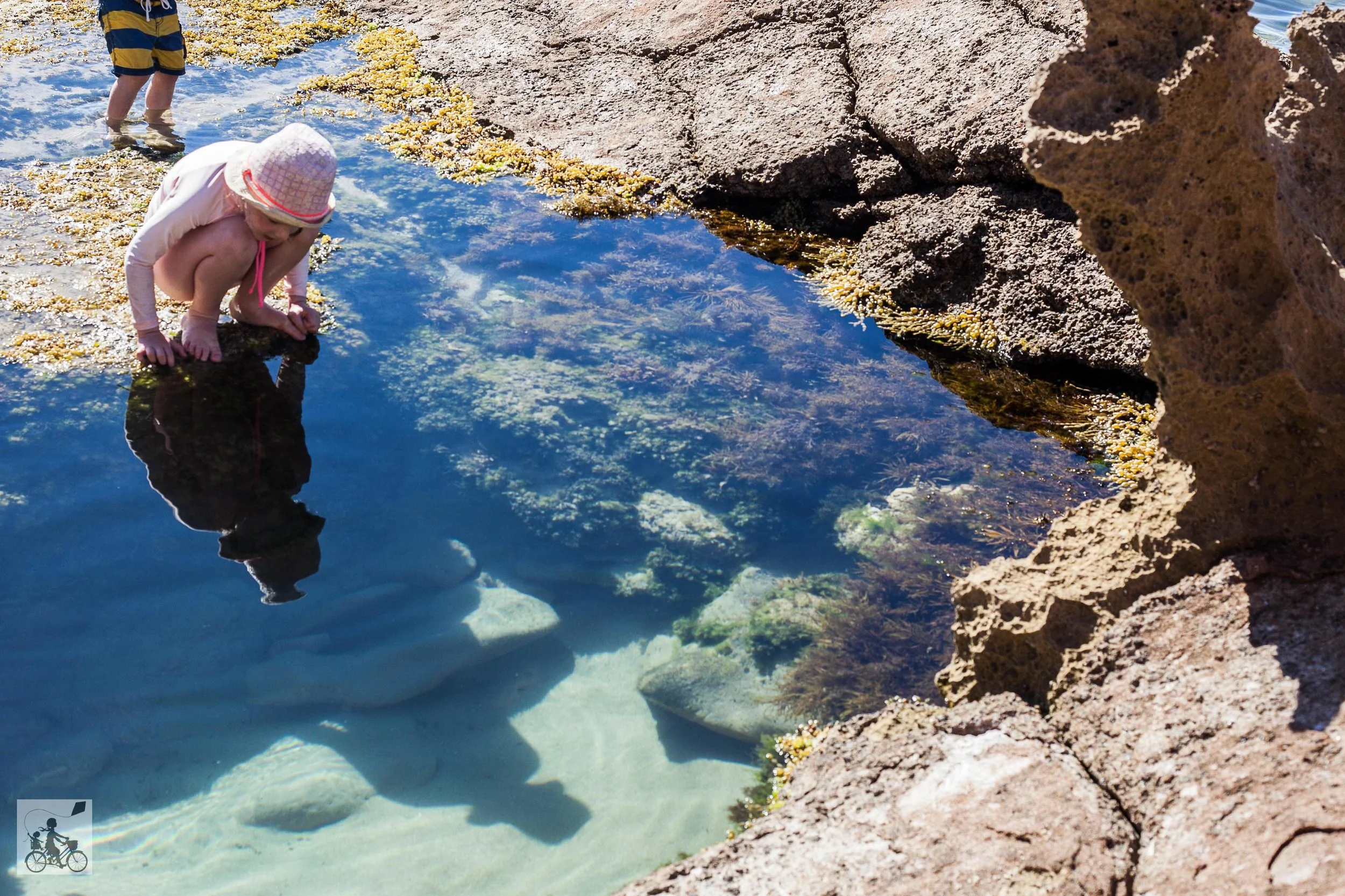 Sorrento Rock Pools-2.jpg