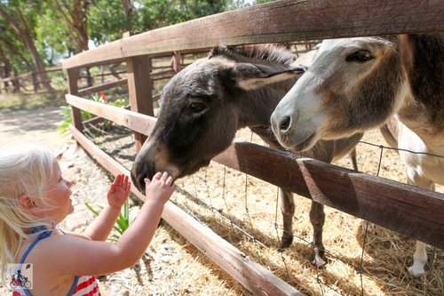 panorama garden estate - wildlife sanctuary & secret gardens
