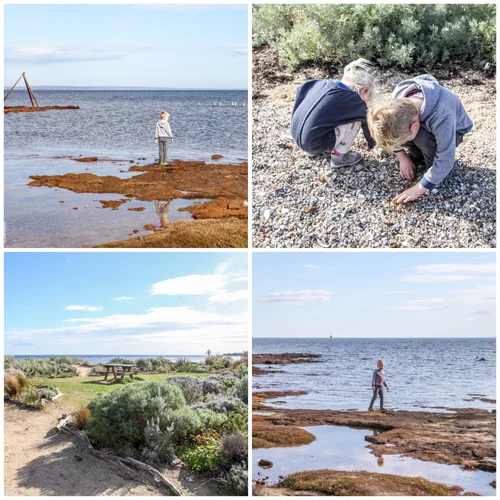 rickett's point marine sanctuary