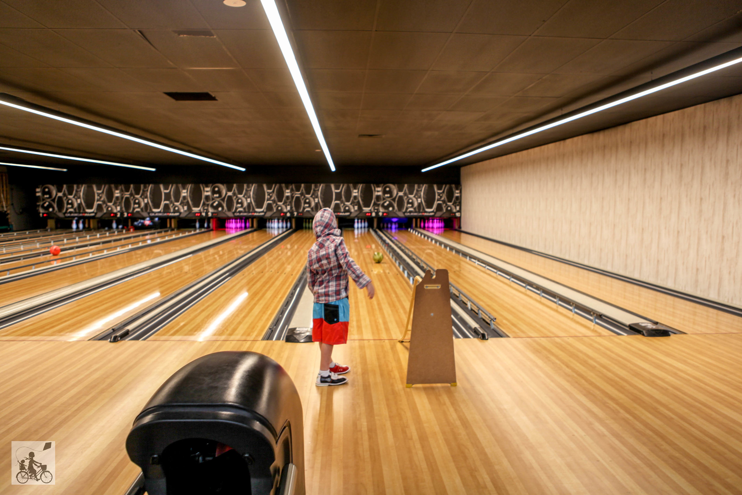 general public, dingley — mamma knows south