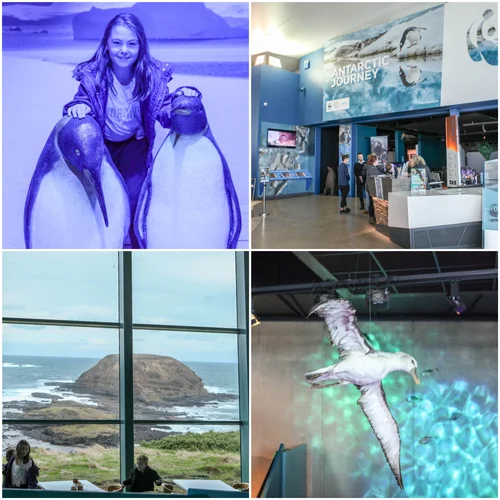 antarctic journey @ nobbies discovery centre
