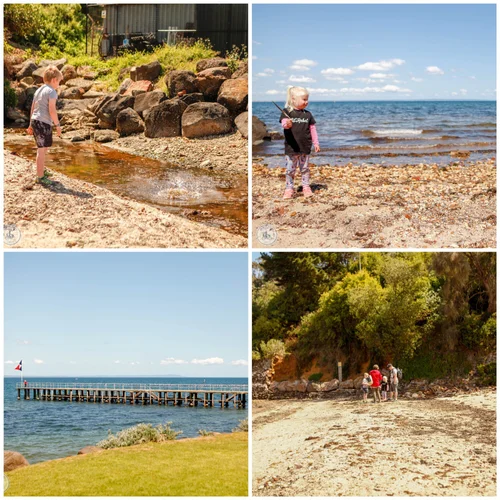 beaumaris bay fossils