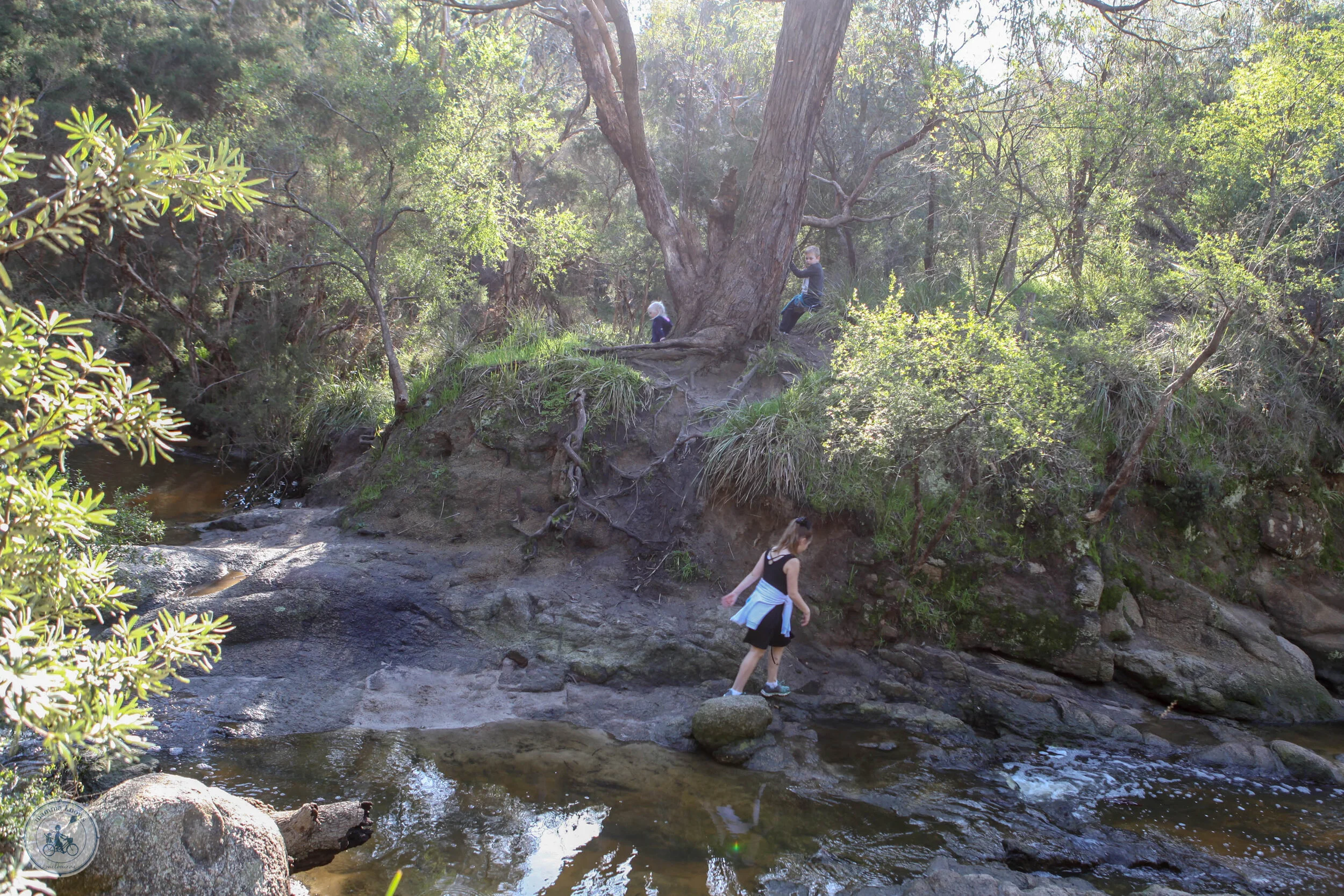 sweetwater creek nature reserve, frankston — mamma knows south