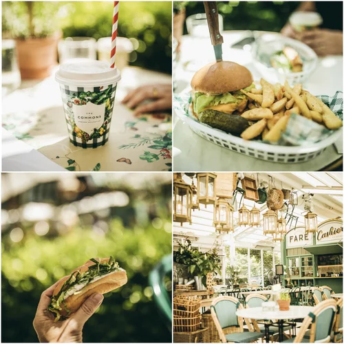 the commons @ ormond collective