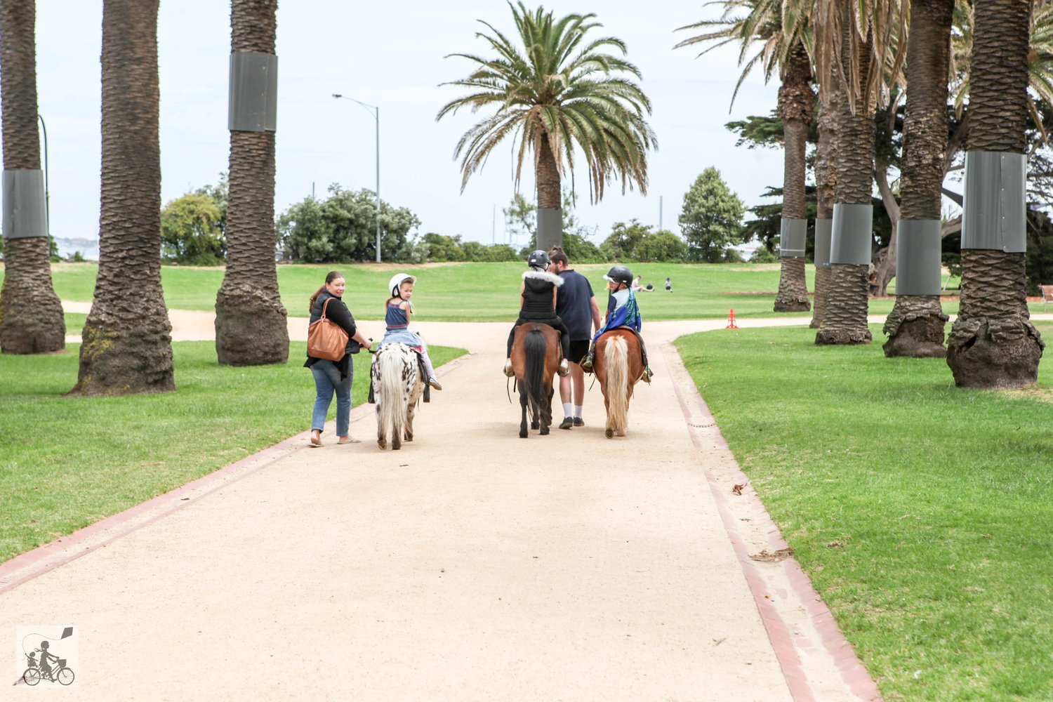 Pony Rides