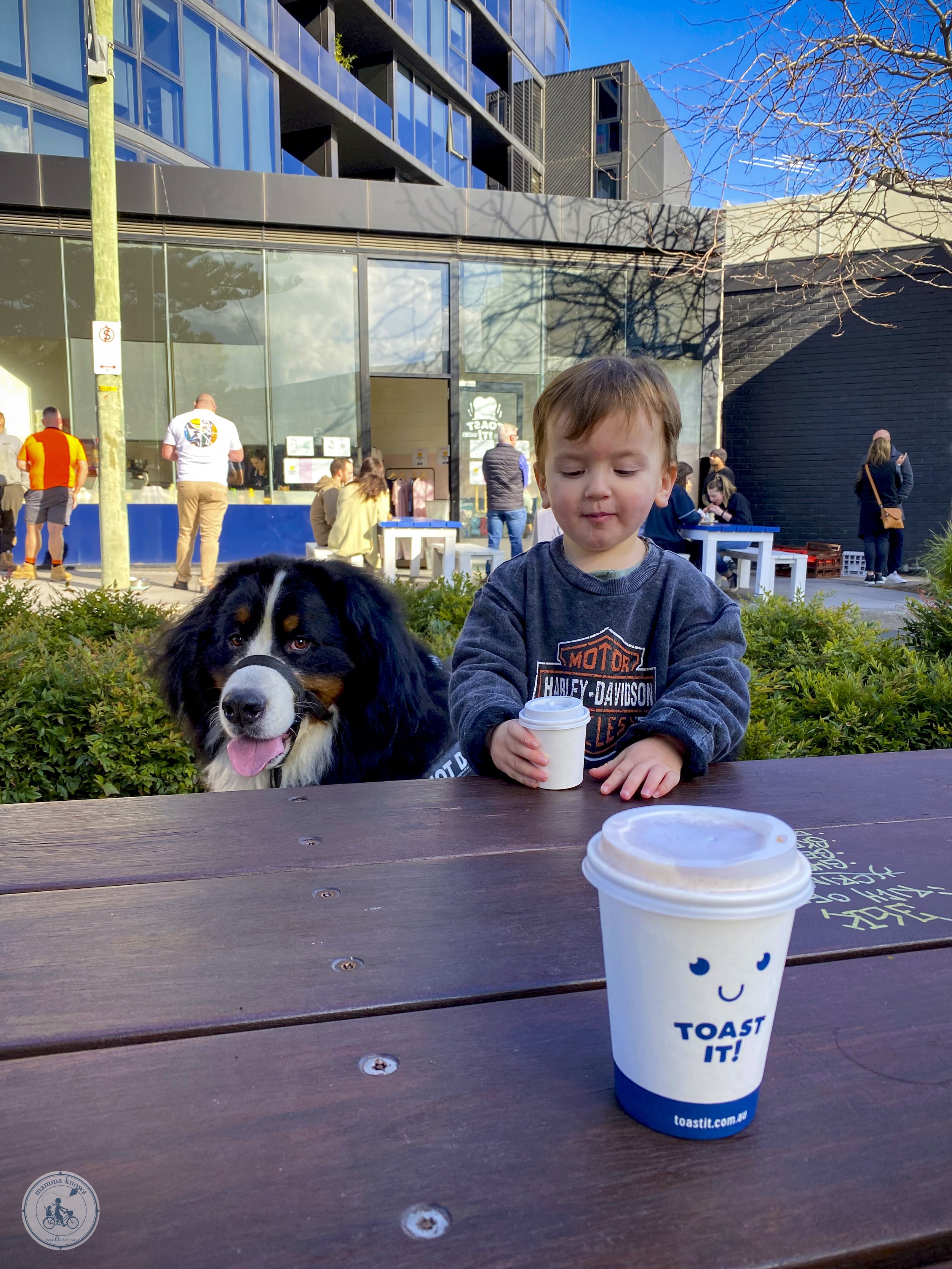 Toast It!, Moorabbin — mamma knows south