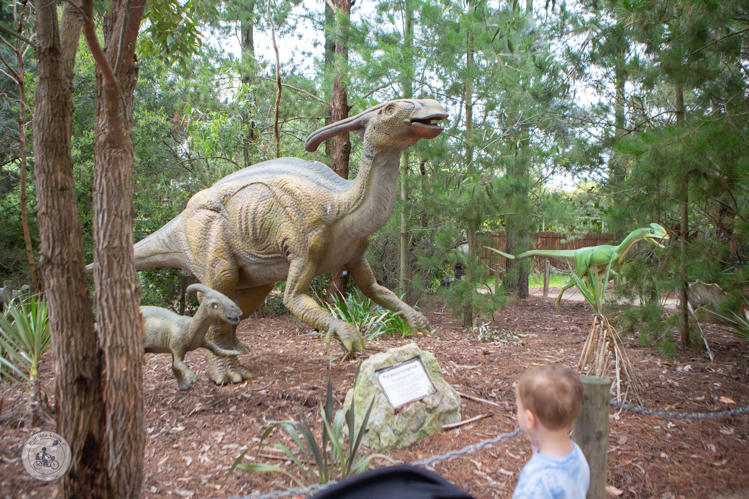 Dinosaur World Story Time - copyright Mamma Knows South (14 of 54).jpg