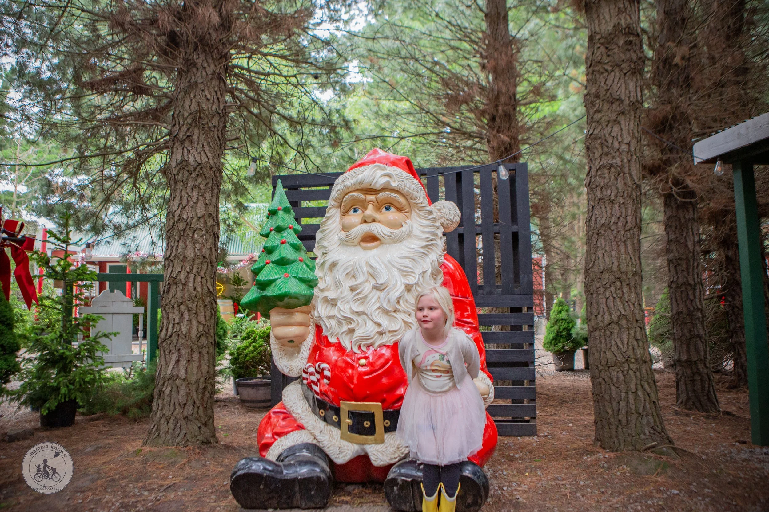 Christmas Tree Farm Sonoma County At Neal Ching Blog