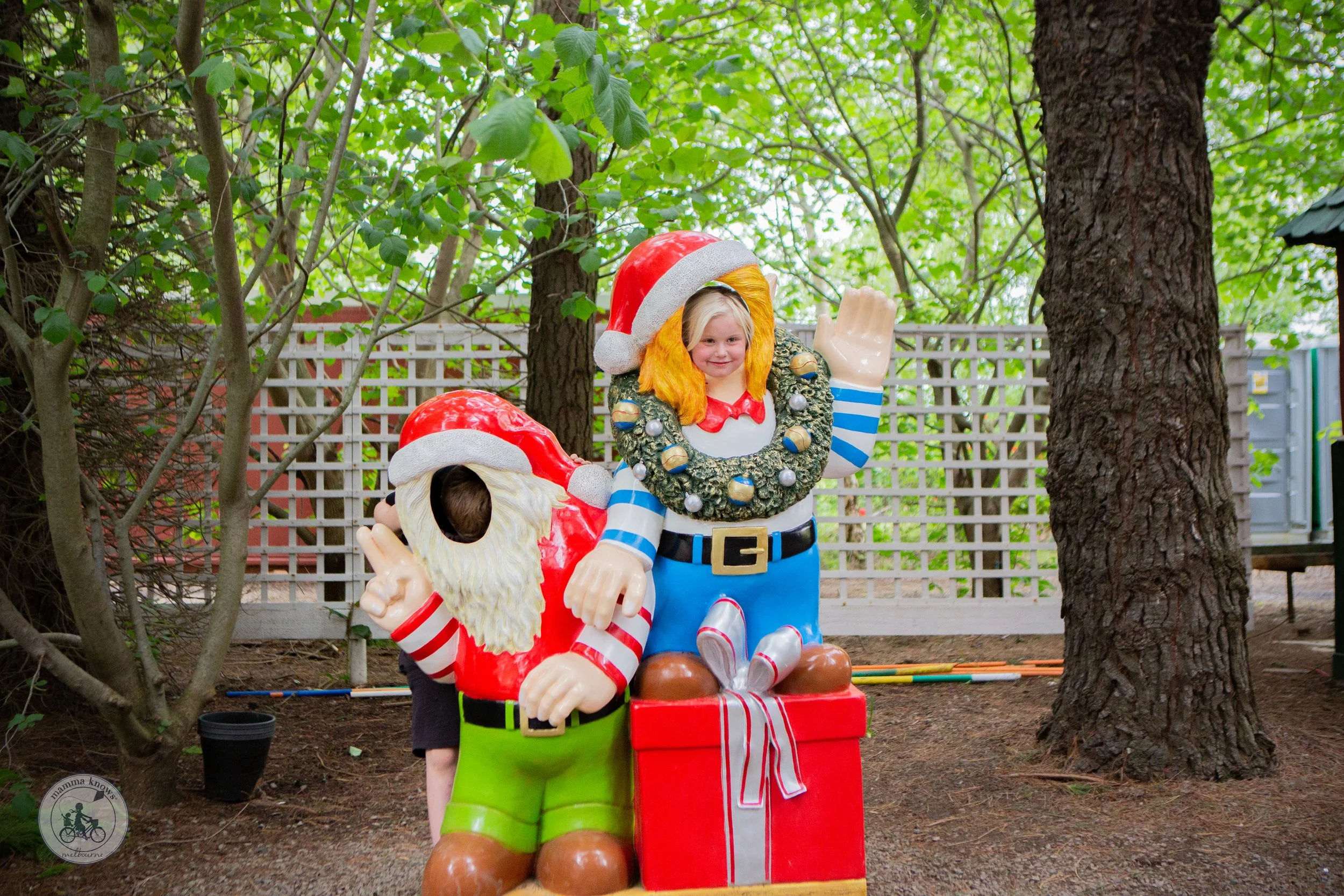 The Christmas Tree Farm, Moorooduc — mamma knows south