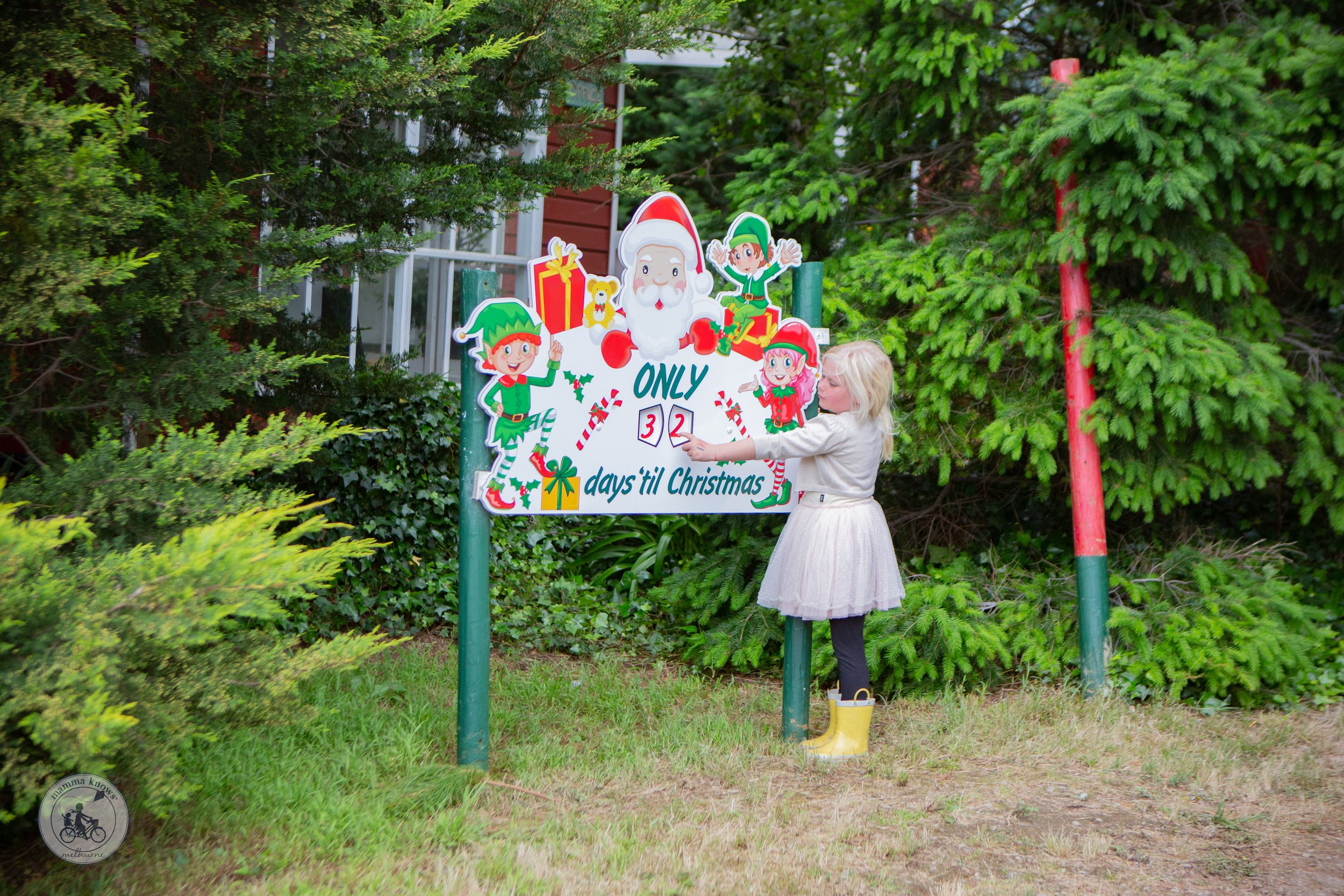 The Christmas Tree Farm - Mamma Knows South Copyright (21 of 88).jpg