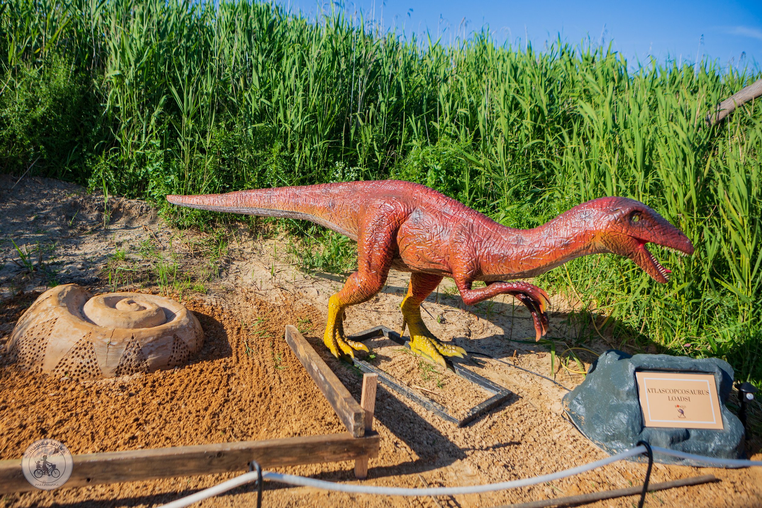 Dino in Sand, Boneo Discovery Park- Mamma Knows South Copyright (30 of 72).jpg