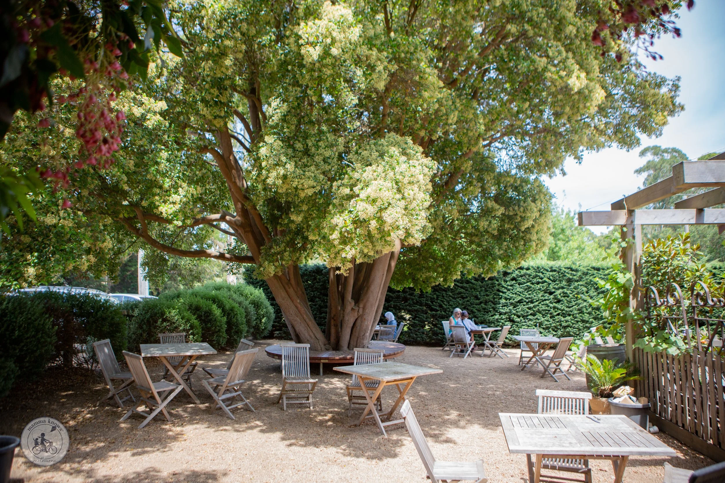 Merricks General Wine Store, Merricks — mamma knows south