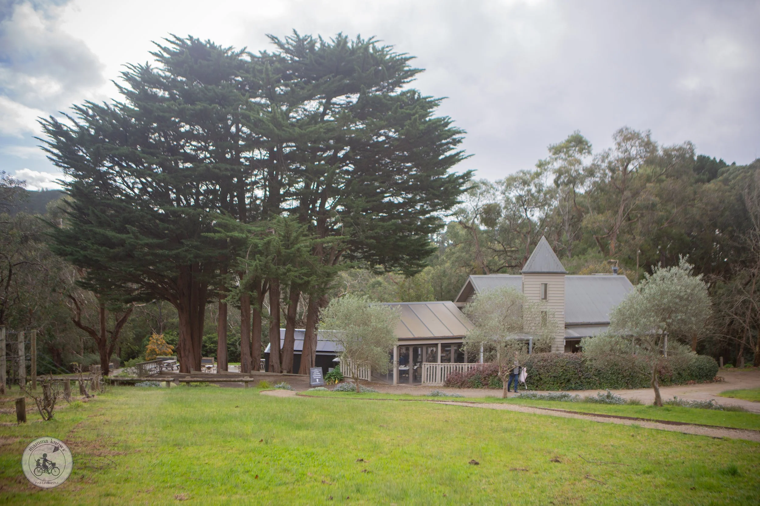 Coco Rouge Chocolaterie and Ice Creamery, Red Hill — mamma knows south Coco Rouge Chocolaterie and Ice Creamery, Red Hill — mamma knows south