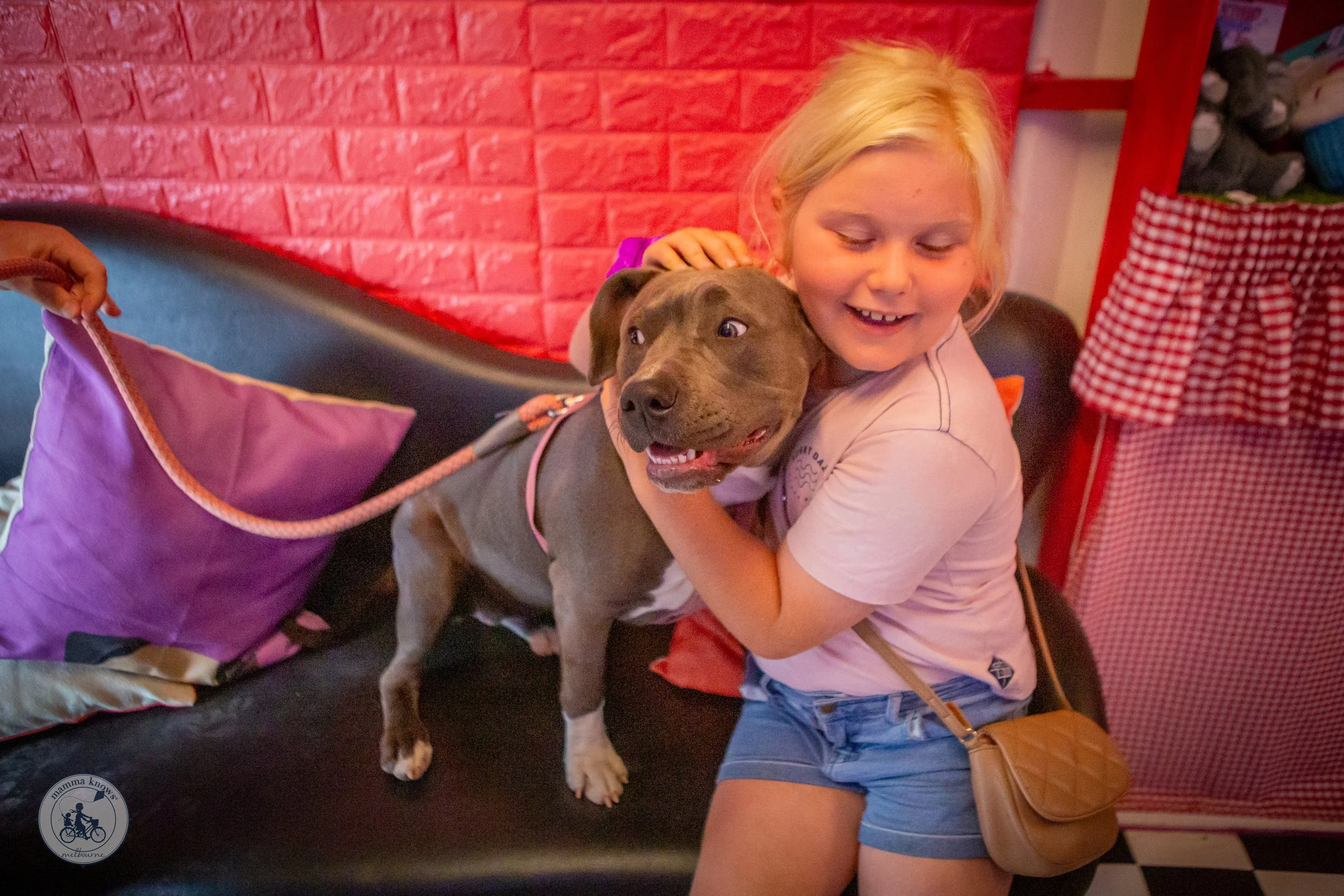 Miss Drew's Bakery and Dog Cafe, Tyabb — mamma knows south