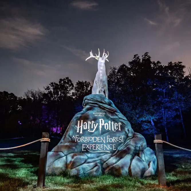 Harry Potter: The Forbidden Forest Experience