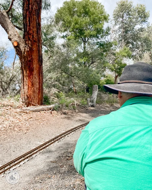 springvale live steamers,