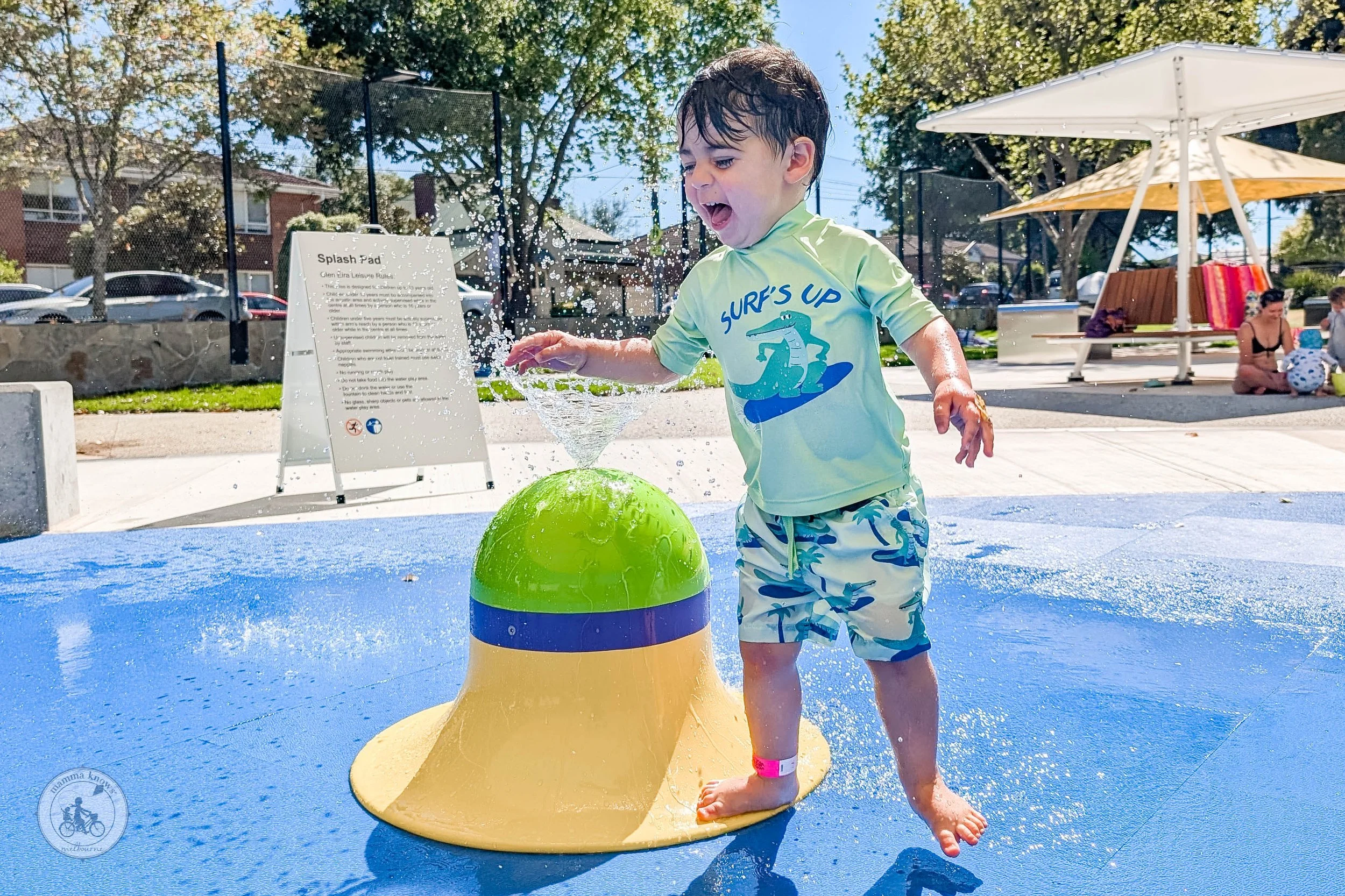 Carnegie Memorial Pool
