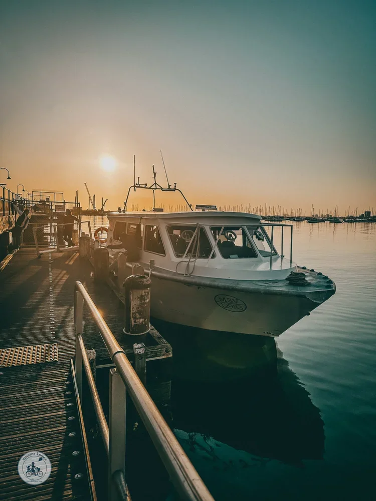 Sunset Penguin Tour, St Kilda
