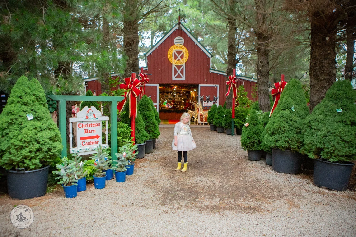 The Christmas Tree Farm