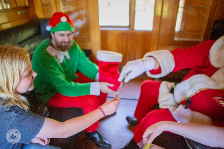 copyright mamma knows south - Santa Train, Mornington Tourist Train (47 of 52).jpg
