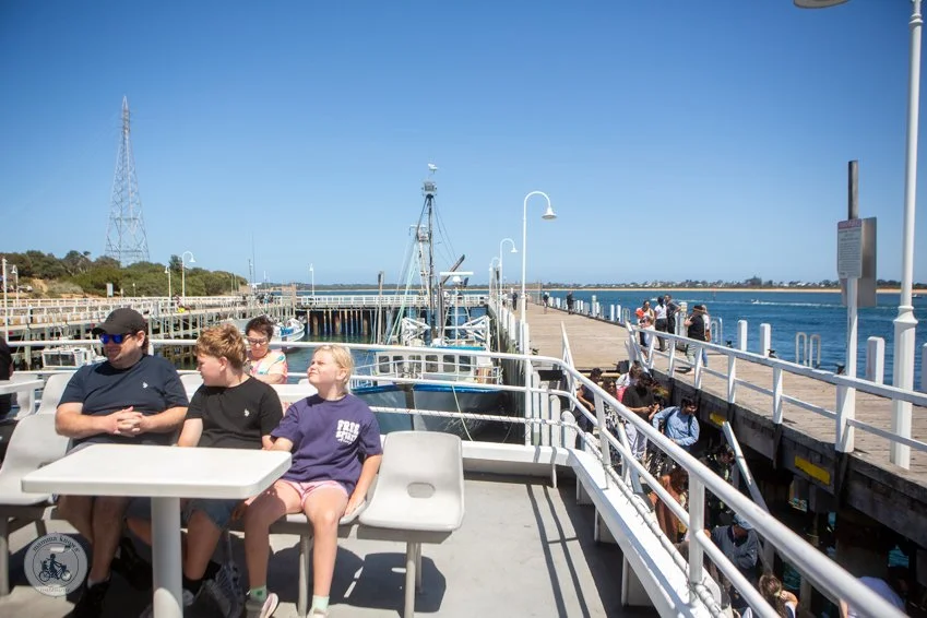 copyright Mamma Knows South -Wildlife Cruises Phillip Island (16 of 75).jpg