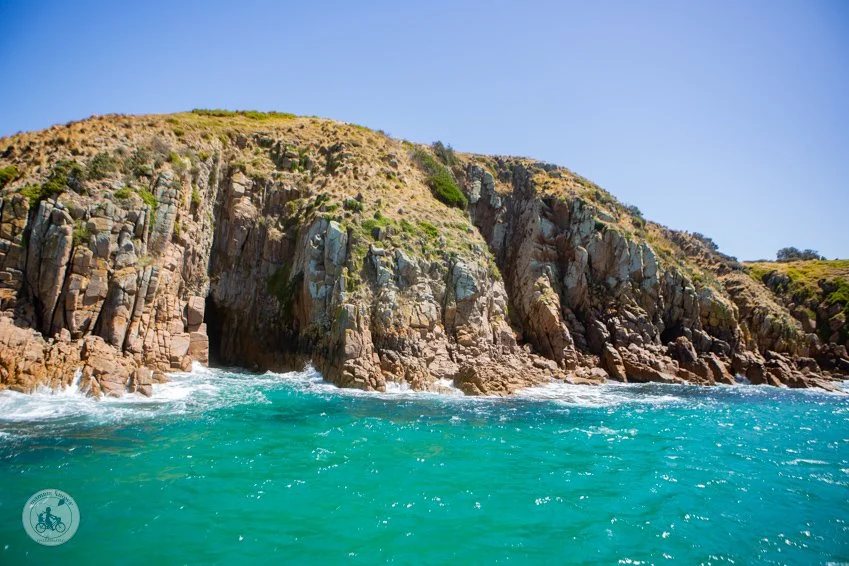Wildlife Cruises, San Remo