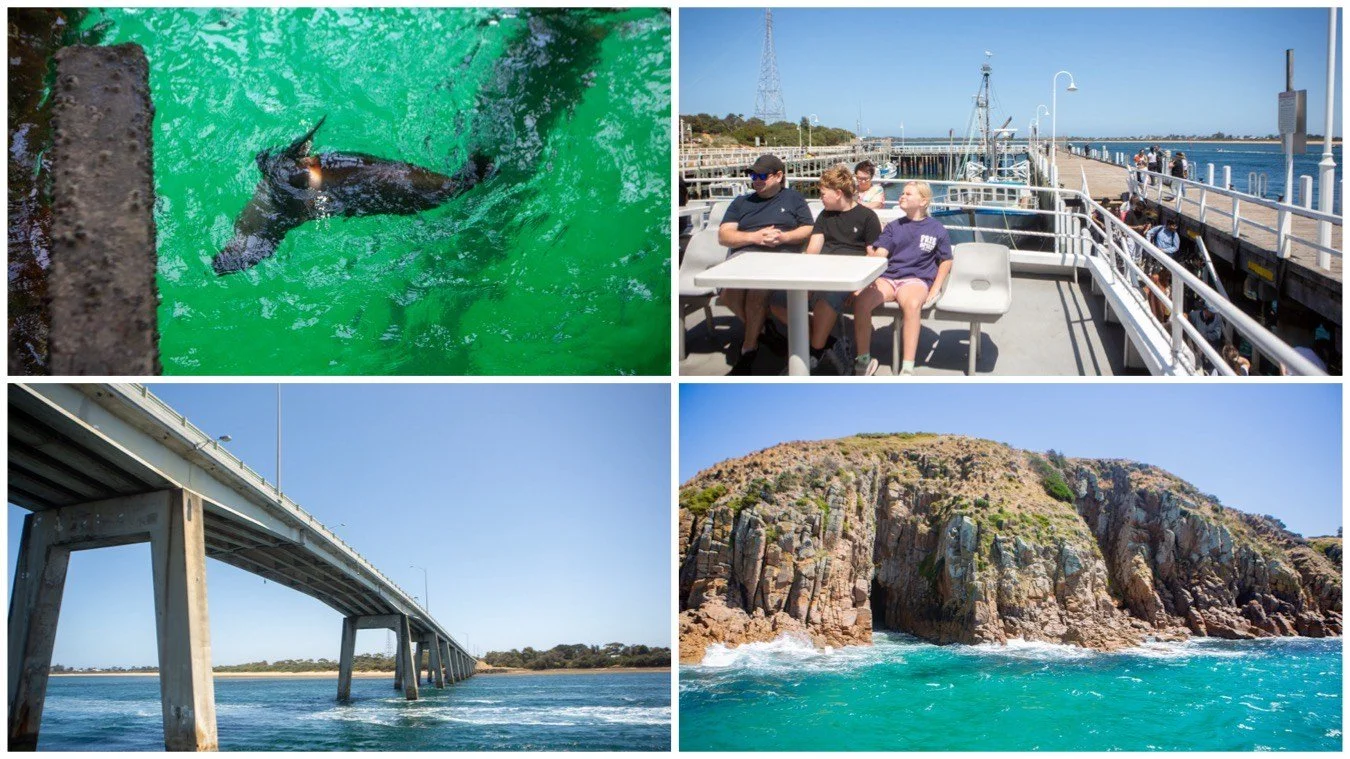 wildlife coast cruises, phillip island