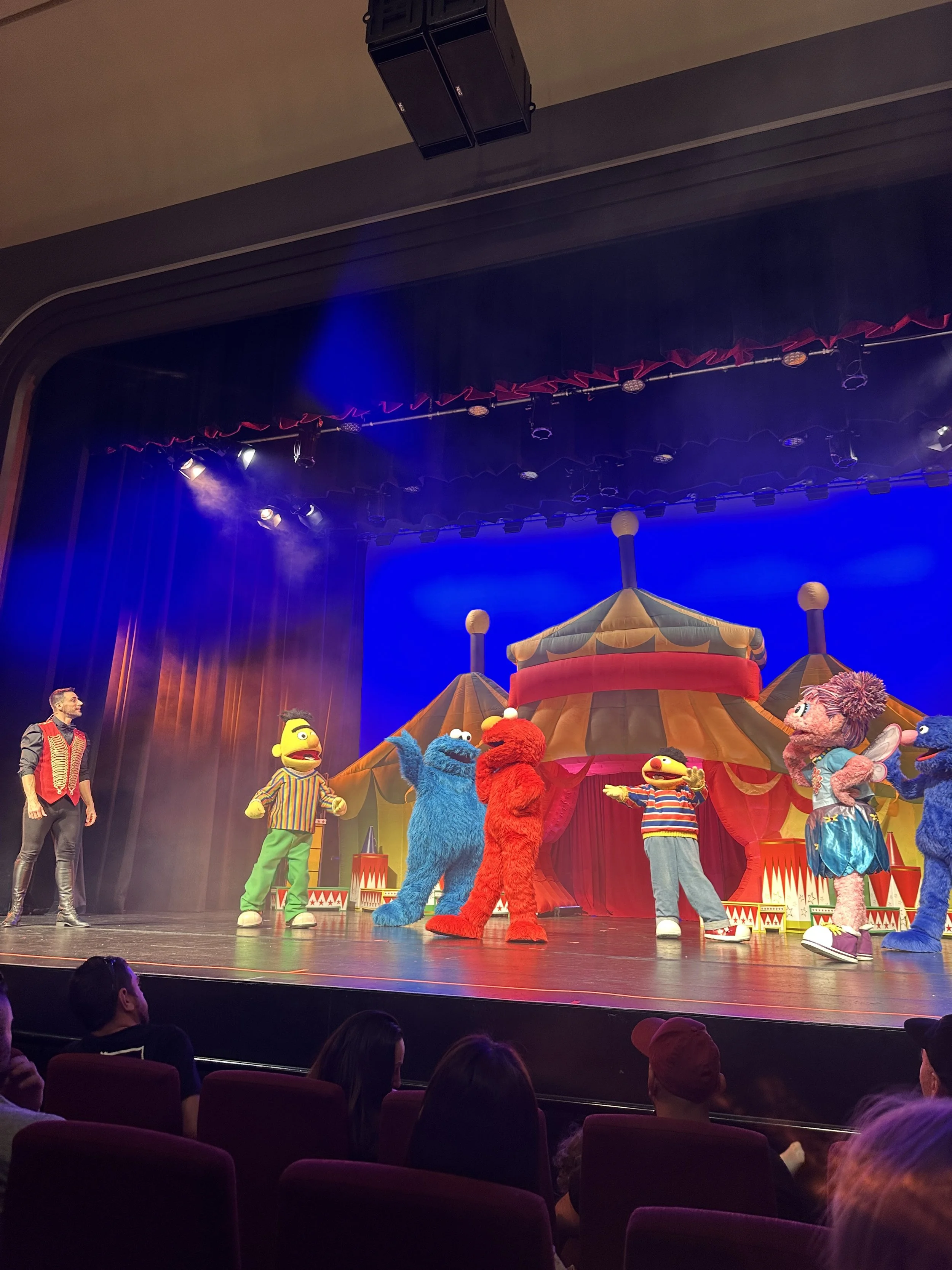 elmo’s circus dream, dingley