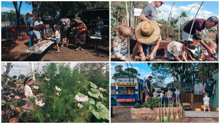 gardening together program @ old cheese factory, berwick