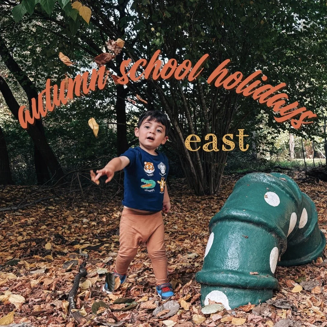 Autumn 2026 Mamma Knows East SQUARE.jpg