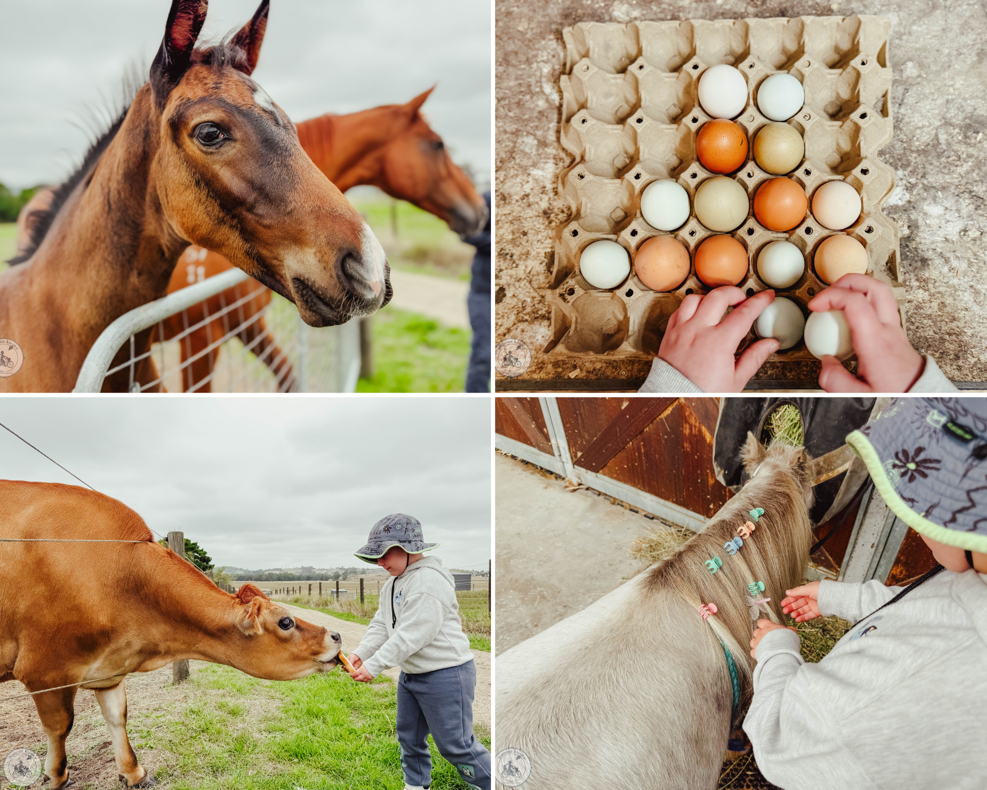 little farm plays, pakenham