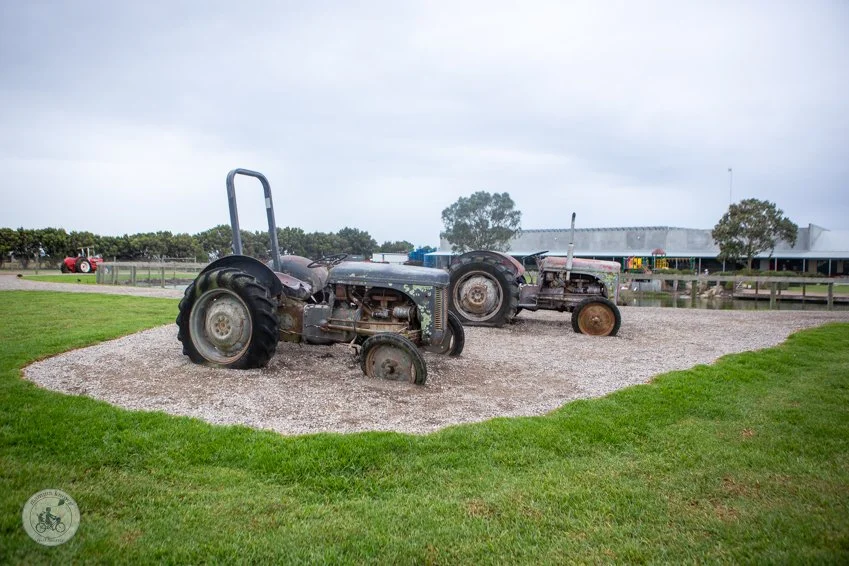 copyright Mamma Knows South - Caldermeade Farm revisit (7 of 65).jpg
