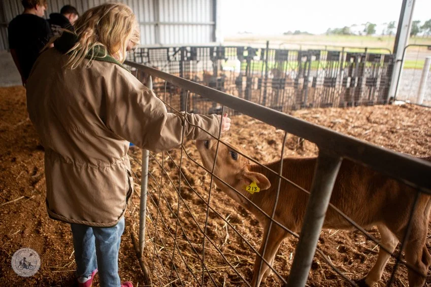 copyright Mamma Knows South - Caldermeade Farm revisit (18 of 65).jpg