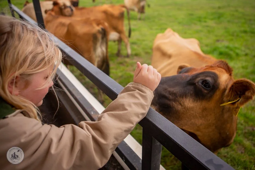 copyright Mamma Knows South - Caldermeade Farm revisit (48 of 65).jpg