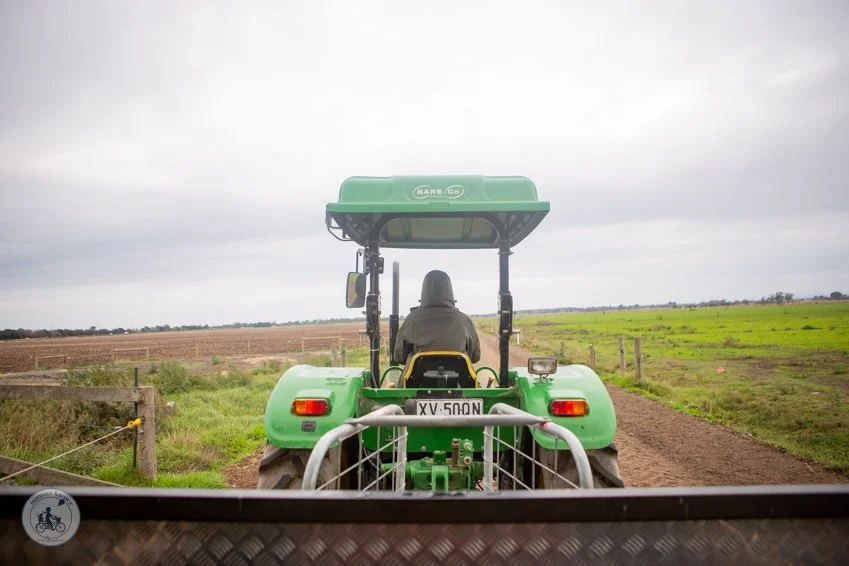 copyright Mamma Knows South - Caldermeade Farm revisit (33 of 65).jpg