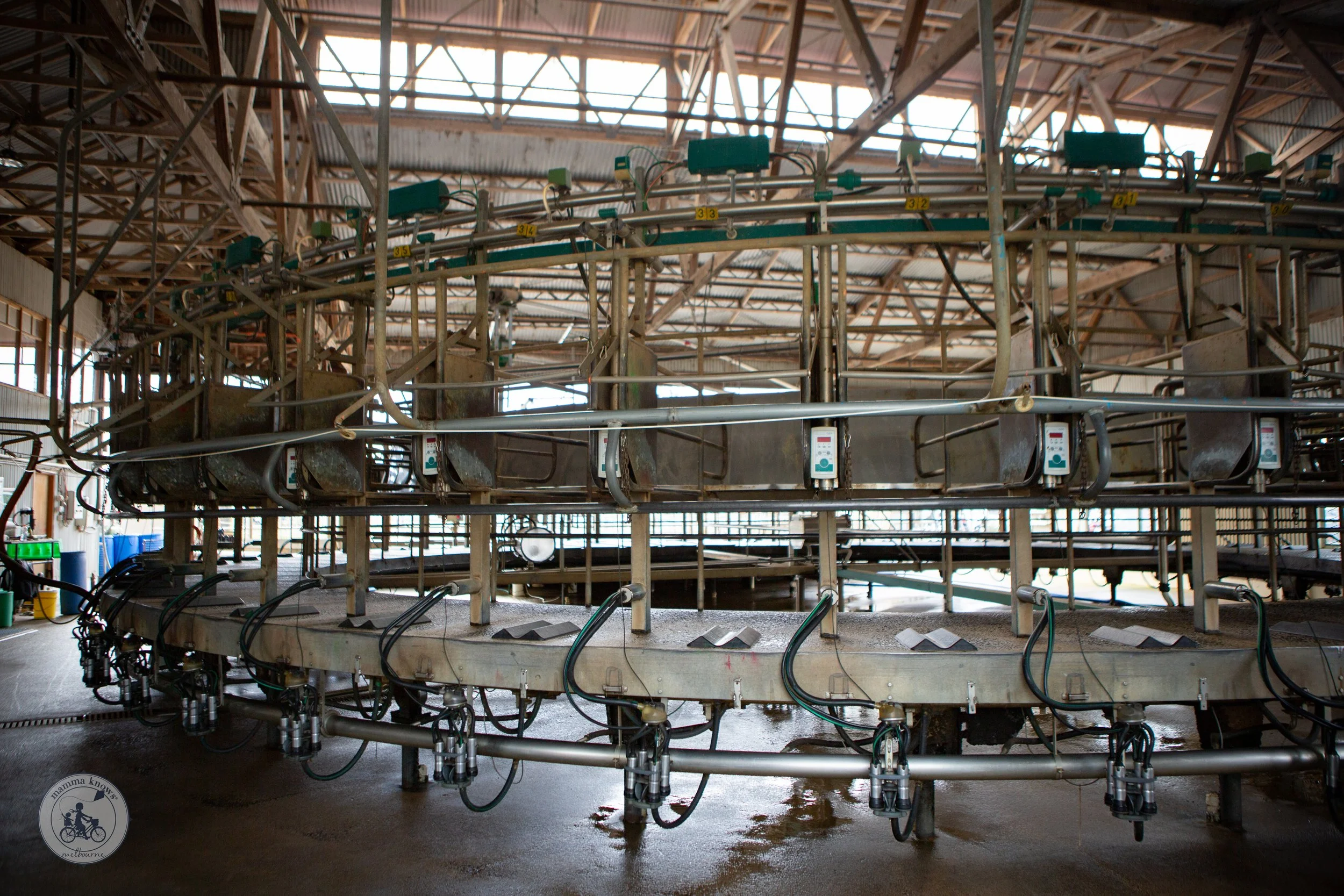 Caldermeade Farm Market- copyright Mamma Knows South (1 of 24).jpg