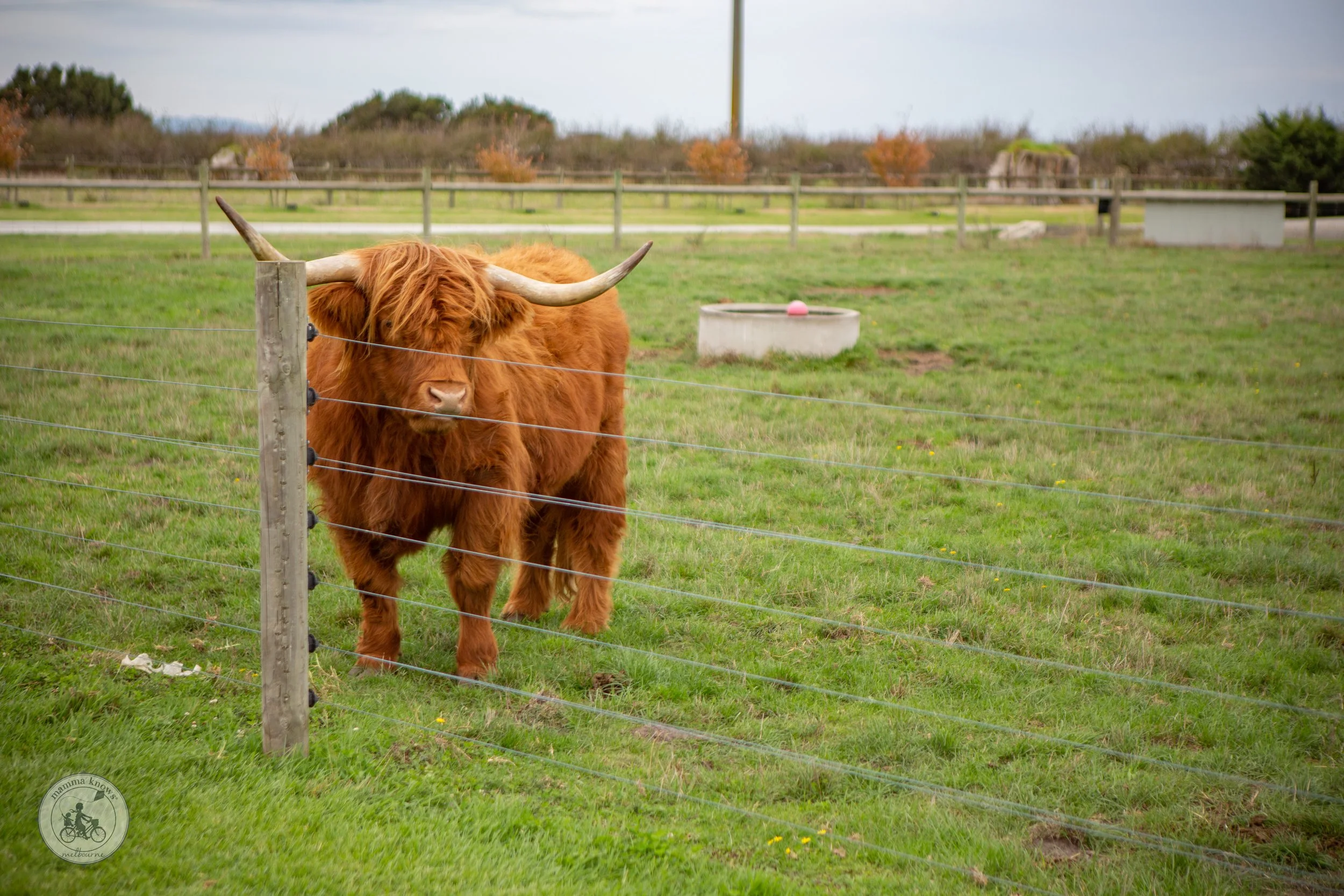 Caldermeade Farm Market- copyright Mamma Knows South (22 of 24).jpg