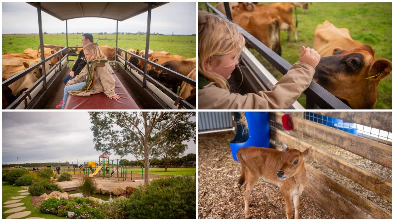 caldermeade farm, caldermeade