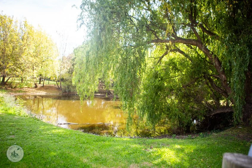 copyright Mamma Knows South - Two Cow Dairy, Baxter (2 of 33).jpg