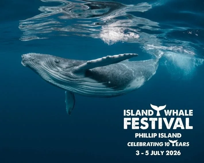 Island Whale Festival